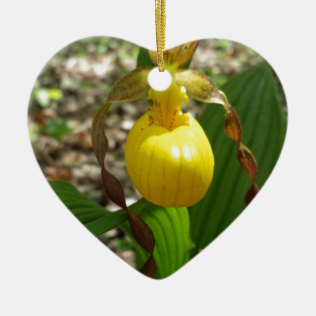 Ornement En Céramique Grand Cypripedium jaune de Madame pantoufle (Devant)