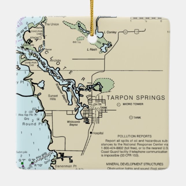 Ornement En Céramique Graphique nautique des sources de tarpon (Dos)