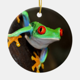 Ornement En Céramique Grenouille à yeux rouges tropicale - Agalychnis Ca