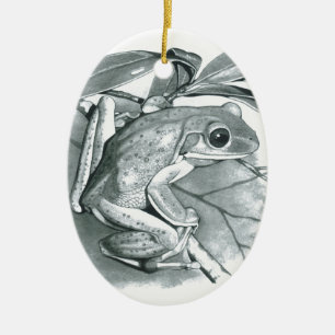 Ornement En Céramique Grenouille d'arbre