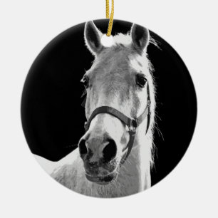 Ornement En Céramique Gros plan Cheval blanc noir en nuit