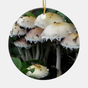 Ornement En Céramique Groupe de champignon - photographie