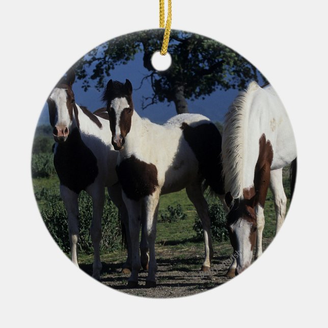Ornement En Céramique Groupe de chevaux de peinture (Devant)
