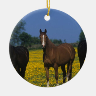 Ornement En Céramique Groupe de chevaux de pur sang