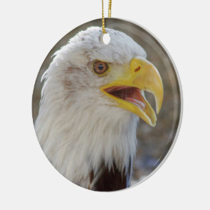 Ornement En Céramique Haliaeetus leucocephalus