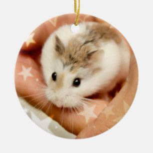 Ornement En Céramique Hammyville - Cute Hamster