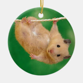 Ornement En Céramique hampster idiot