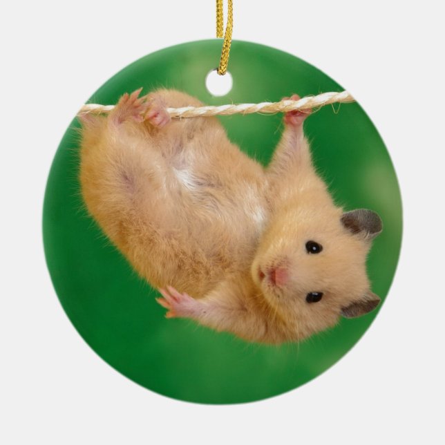 Ornement En Céramique hampster idiot (Devant)