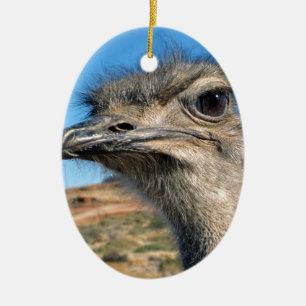 Ornement En Céramique Harry the Happy Ostrich