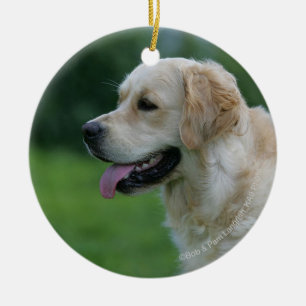 Ornement En Céramique Headshot 2 2 de golden retriever