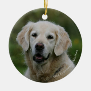 Ornement En Céramique Headshot 2 de golden retriever