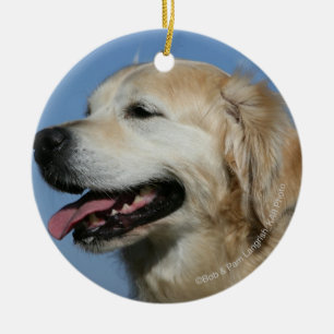 Ornement En Céramique Headshot 4 de golden retriever