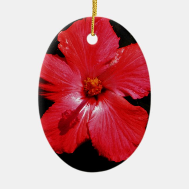 Ornement En Céramique Hibiscus rouge (Devant)