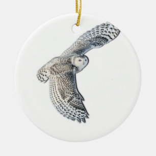 Ornement En Céramique Hibou de Milou en vol