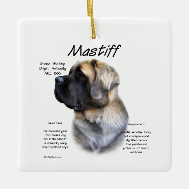 Ornement En Céramique Histoire de Fluffy Mastiff (Devant)