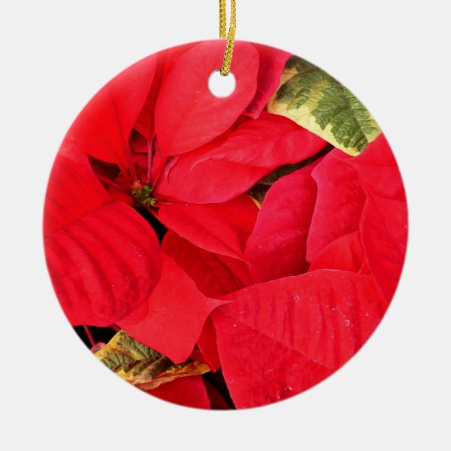 Ornement En Céramique Holly Point Poinsettias vacances Floral (Devant)