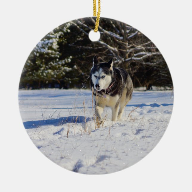 Ornement En Céramique Husky Sibérien Dans La Neige (Devant)