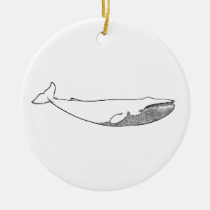 Ornement En Céramique Illustration de baleine bleue (schéma)