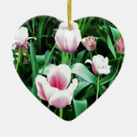 Image des tulipes roses