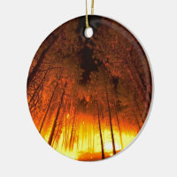 Incendie de forêt