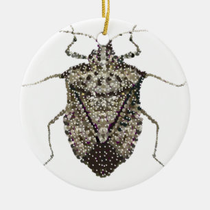 Ornement En Céramique insecte de puanteur