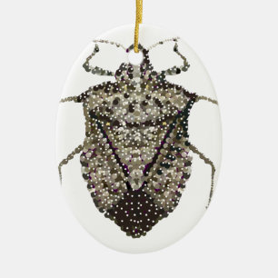 Ornement En Céramique insecte de puanteur