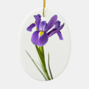 Ornement En Céramique Iris