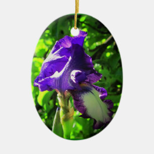 Ornement En Céramique Iris violet en été