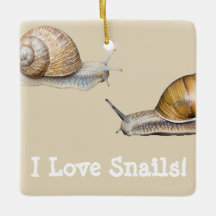 J'aime les escargots Conception des escargots