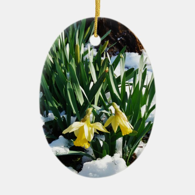 Ornement En Céramique Jaune Daffodils fleurs dans la neige (Devant)