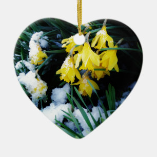 Ornement En Céramique Jaune Daffodils fleurs dans la neige
