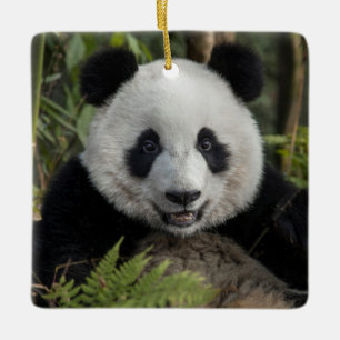 Ornement En Céramique Jeune panda heureux, Chine
