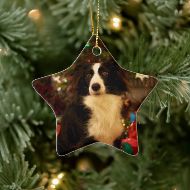 Ornement En Céramique Joli Collie et sapin de Noël (Arbre)