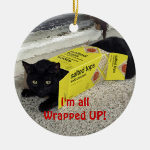 Ornement En Céramique Joli Joueur Chat Noël Ornament