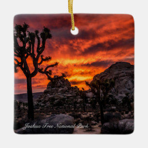 Ornement En Céramique Joshua Tree