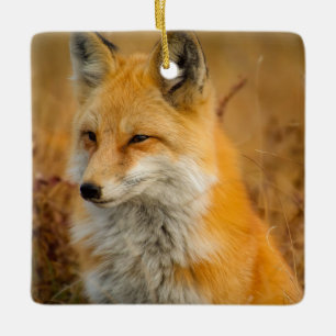 Ornement En Céramique Jote Red Fox Wilderness Nature Photographie
