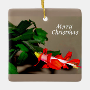 Ornement En Céramique Joyeux Cactus de Noël