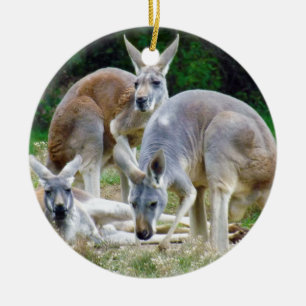 Ornement En Céramique Kangourous australiens détendant au soleil