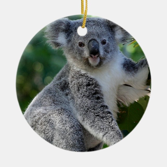 Ornement En Céramique Koala australien câlin mignon (Devant)