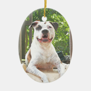 Ornement En Céramique La cabane dans un arbre de l'à l'os de pitbull