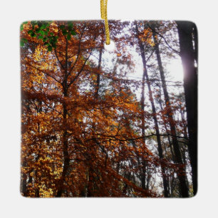 Ornement En Céramique La lumière du soleil dans l'arbre d'automne de la