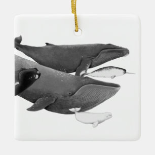 Ornement En Céramique La Nage Des Baleines Illustration Art Whale