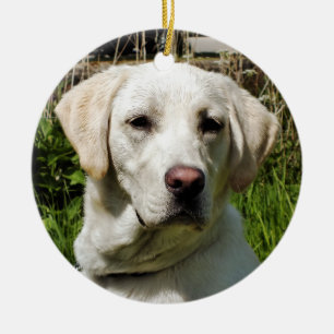 ORNEMENT EN CÉRAMIQUE LABRADOR DOG