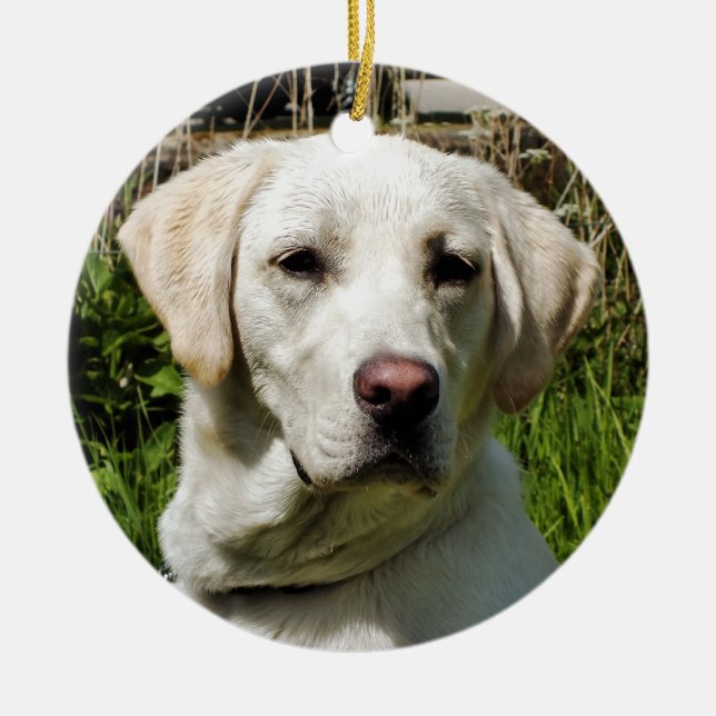 ORNEMENT EN CÉRAMIQUE LABRADOR DOG (Devant)