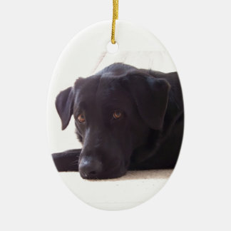 Ornement En Céramique labrador retriever