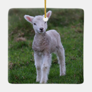Ornement En Céramique Lamb Bébé Mouton ferme animal