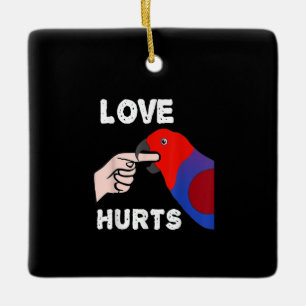 Ornement En Céramique L'amour fait mal aux femmes Eclectus Parrot