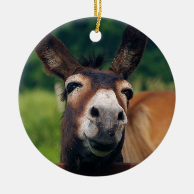 Ornement En Céramique L'âne sourit pour Noël (Devant)