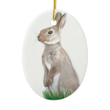 Lapin