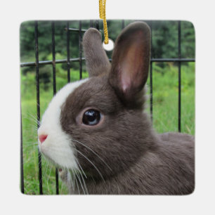Ornement En Céramique Lapin lapin de lapin nain